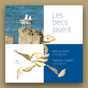 Articles - blog. Les Becs Jasent, le livre - projets