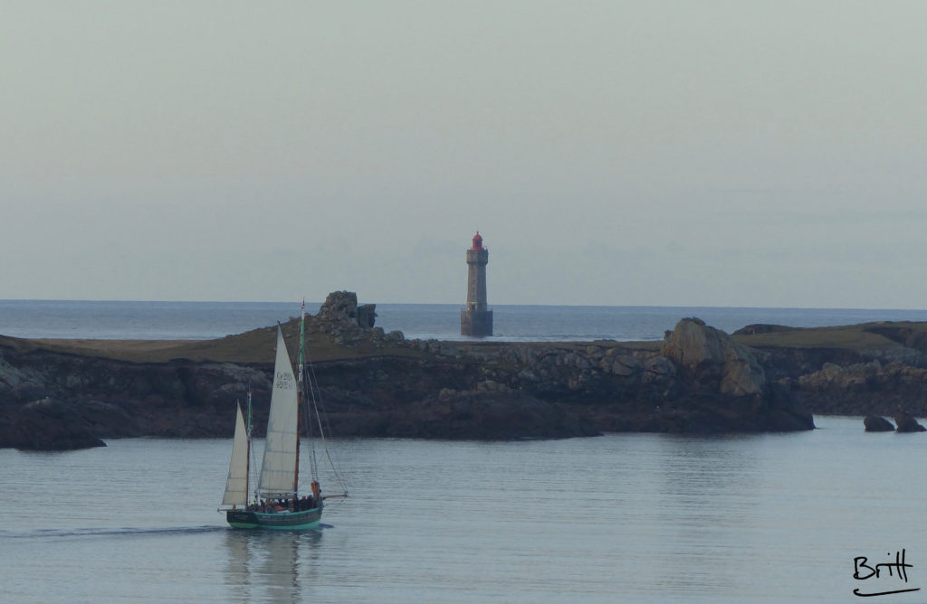 Ouessant la Jument
