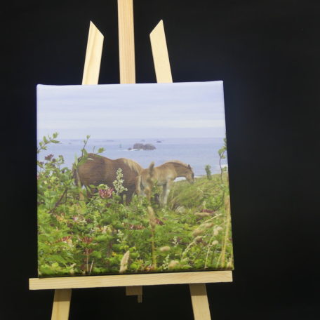 Toile-photo "chevaux chevrefeuille"