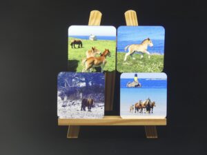Dessous de verre chevaux 2